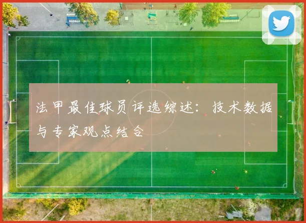 法甲最佳球员评选综述：技术数据与专家观点结合