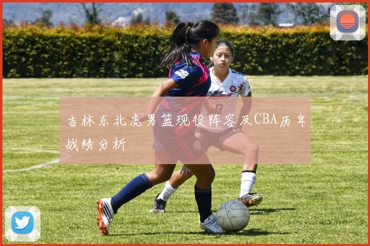 吉林东北虎男篮现役阵容及CBA历年战绩分析