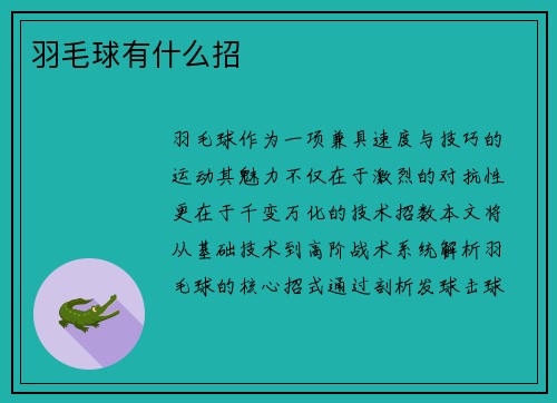羽毛球有什么招